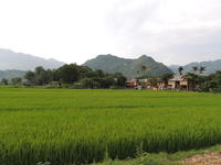 Steps towards change - next step: Vietnam