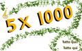 Campagna 5 x 1000